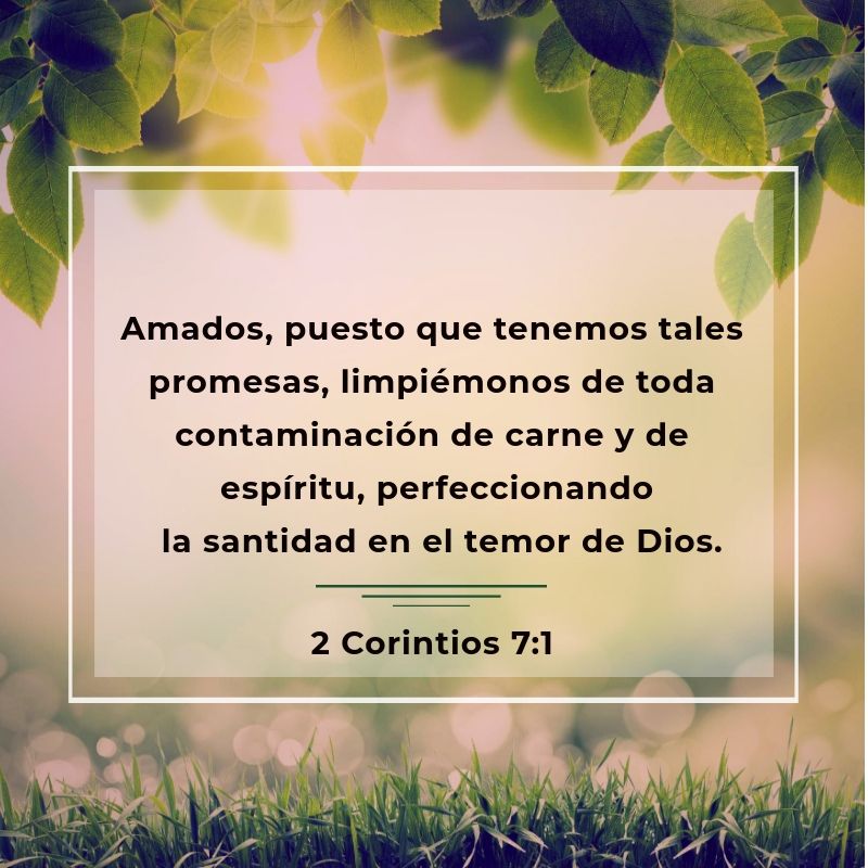 2 Corintios 7
