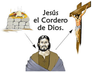 ¿Qué significa que Jesús es el Cordero de Dios?