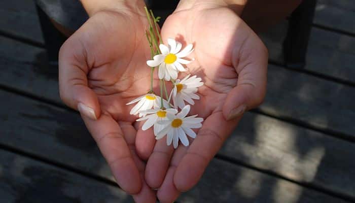 10 razones por las que Dios ama al dador alegre