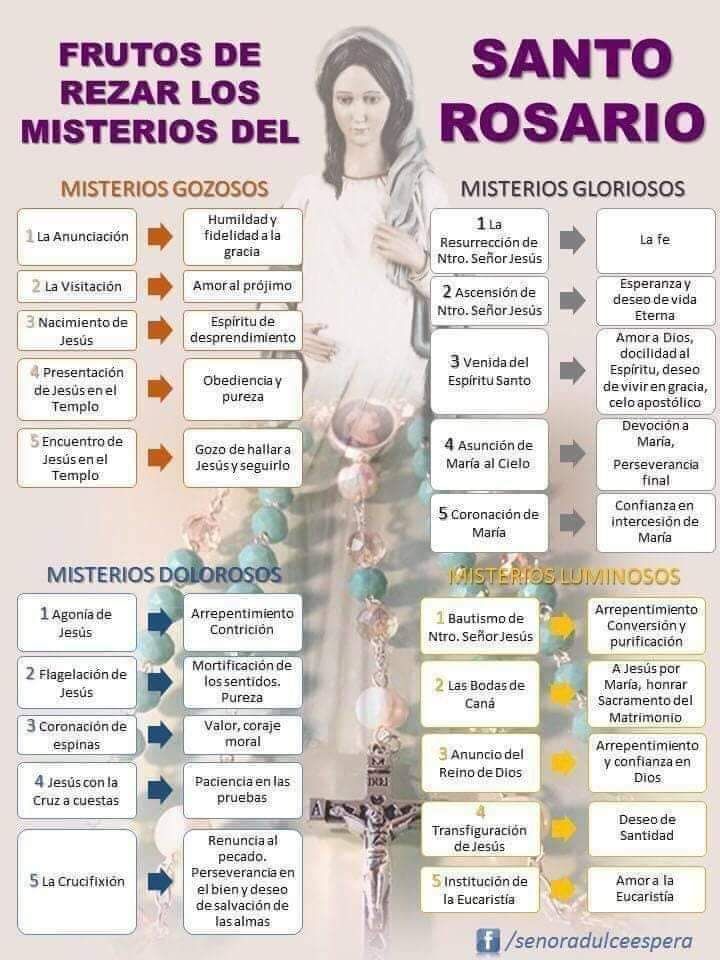 Sobre los frutos del santo rosario